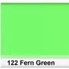 Lee 122 Fern Green Filter