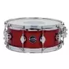 Drum Workshop Snaredrum Performance