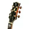 Baton Rouge FatMat V E-Gitarre