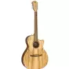 Fender FA-345 CE Auditorium 2019 Limited Edition, Westerngitarre (mit Tonabnehmer) 