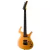 Parker Fly Artist Butterscotch RFA V E-Gitarre