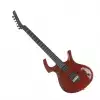 Parker FLY CLASSIC RFCV/TC E-Gitarre