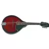 Tenson Mandolin