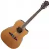 Fender F-1030sce Dreadnought Cutaway, Natural