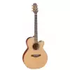 Takamine Series P3NC NEX Westerngitarre (mit Tonabnehmer)