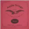 Aquila Rubino STR CL T NT