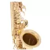 Eastman EAS-500 Altsaxophon