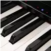 THE ONE Smart Piano TOP 1 (Schwarz)