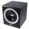 ESI SW-10K aktiver Subwoofer