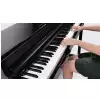 TO-PIANO-HI-LITE