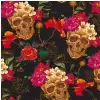 Adam Hall Hardware Imageboard 7 SKULLS COLOUR