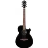 Ibanez AEG50-BK Black High Gloss Westerngitarre (mit Tonabnehmer)