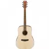 Ibanez PF10-OPN Open Pore Natural Westerngitarre