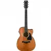 Ibanez AVC11CE-ANS