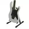 Ibanez RG-2550 Z GW E-Gitarre