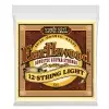 Ernie Ball 2010 Earthwood 12′s Light Saitensatz 12-saitige Westerngitarre 9-46