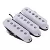 Fender Custom Shop Fat 50′S Stratocaster pickup (3 stuck)