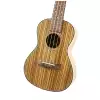 Fzone FZU-15K 23 Inch Konzert-Ukulele