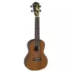 Baton Rouge UV41 C NMP concert Ukulele