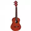 Ortega RU5MM-TE Tenor-Ukulele