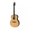 PRS 2018 SE T50E Tonare