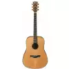Ibanez AW 3050 LG