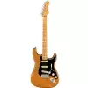 Fender American Professional II Stratocaster Ahorn-Griffbrett, Roasted Pine E-Gitarre