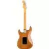 Fender American Professional II Stratocaster Ahorn-Griffbrett, Roasted Pine E-Gitarre