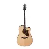 Ibanez AAD170CE-LGS Westerngitarre (mit Tonabnehmer)