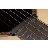 Ibanez AAD170CE-LGS Westerngitarre (mit Tonabnehmer)
