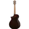 Ibanez AEWC300 NNB