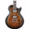 Ibanez ART120QA-SB E-Gitarre