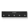 Synergy Amps R-5