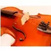 GEWA 401621 Europa Violine 4/4 Satz /Set  (inkl. Bogen, Koffer)