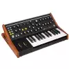 Moog SUBsequent 25