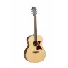 TANGLEWOOD TW170 SS TANGLEWOOD TW170 SS