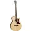 TANGLEWOOD TW145 SS CE TANGLEWOOD TW145 SS CE