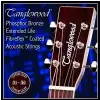 TANGLEWOOD TWGS11