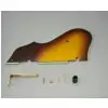 Ibanez 4PG12A0007