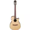 Ibanez AEG50N-NT Natural Westerngitarre (mit Tonabnehmer)
