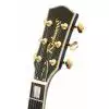 Richwood RE129 BU E-Gitarre