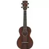 Gretsch G9110 Konzert-Ukulele + GigBag