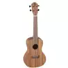 Baton Rouge VX1/CE-N Konzert-Ukulele (mit Tonabnehmer)