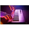 Arturia KeyStep Black Edition Steuertastatur mit CV/Gate -Kabeln steuern