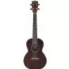 Gretsch G9120