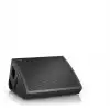 TW AUDiO C15 Bhnenmonitor
