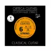 rtega NYP44N Crystal Nylon 4/4 Pro Normal Tension klassische Gitarrensaiten