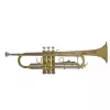 Bach TR-650 B-Trompete, lackiert, mit Etui