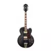 Ibanez AF75G-BKF Black Flat E-Gitarre