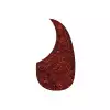 Boston AG 100 TI pickguard